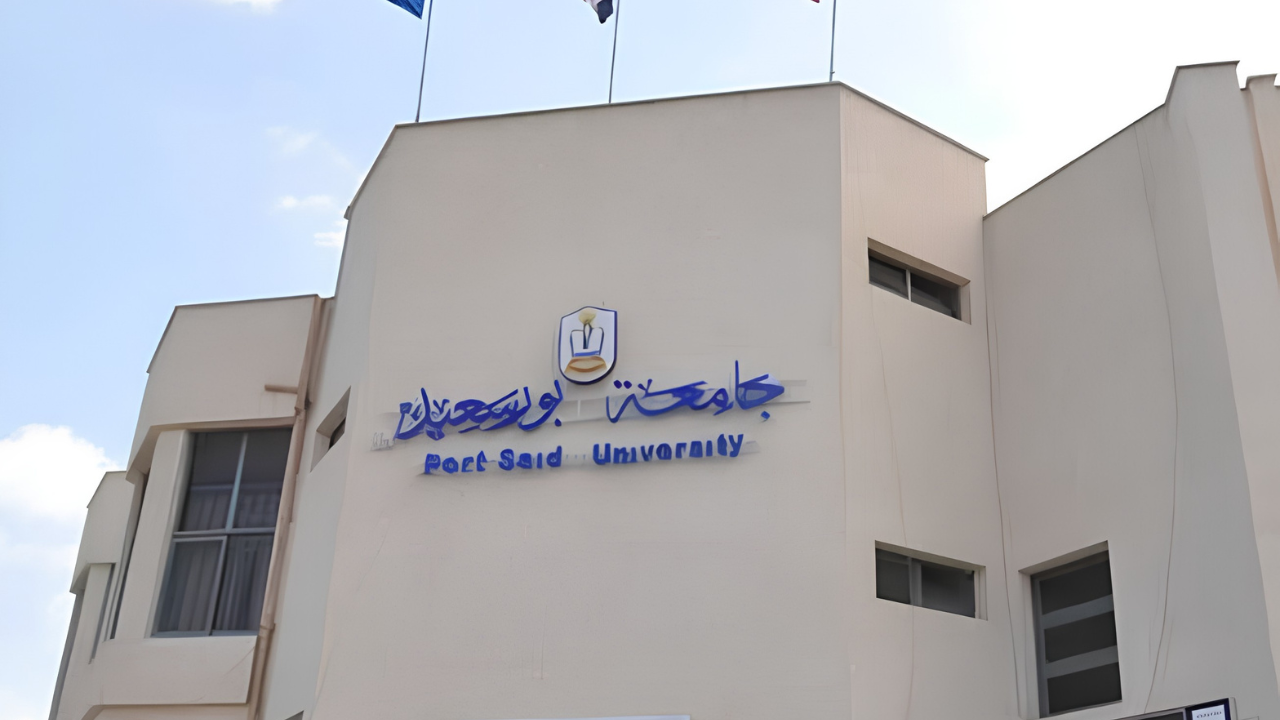 Background for East Port Said National University