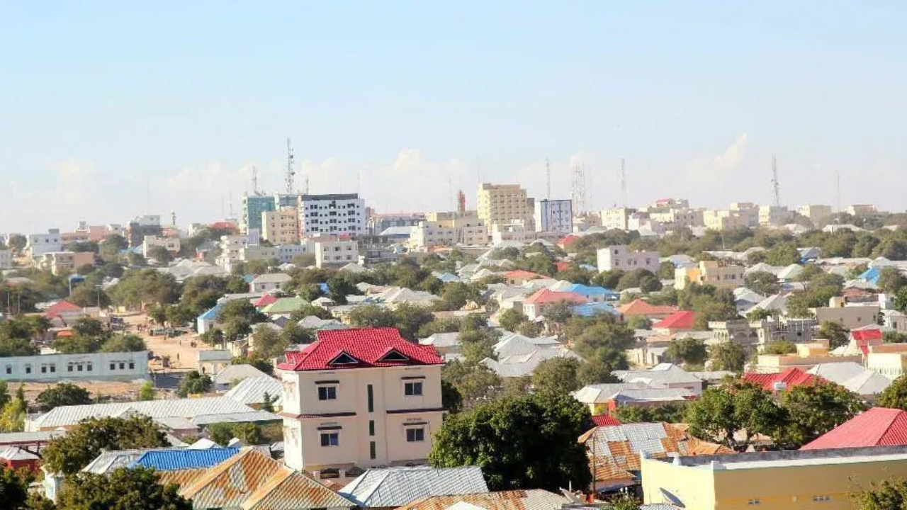 Background for Mogadishu Community